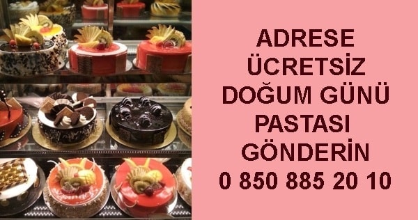 U�ak adrese teslim do�um g�n� ya� pastas�