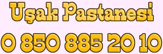 U�ak ya� pasta sipari�i do�um g�n� pastas� yolla g�nder