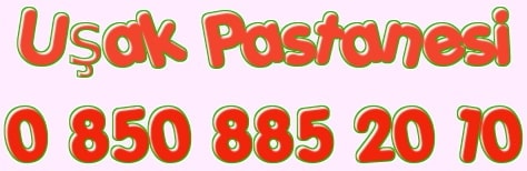 U�ak do�um g�n� pastas� pastane telefonu 0 850 885 20 10 