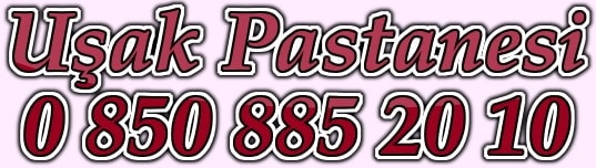 U�ak ya� pasta �e�itleri do�um g�n� pastas� yolla g�nder