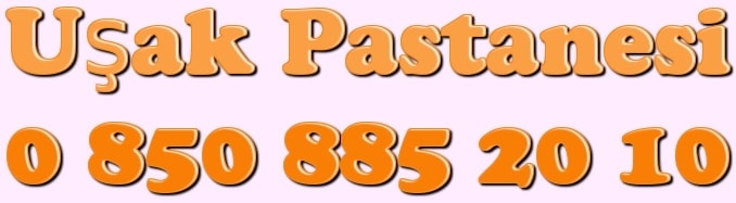 U�ak ya� pasta �e�itleri do�um g�n� pastas� yolla g�nder